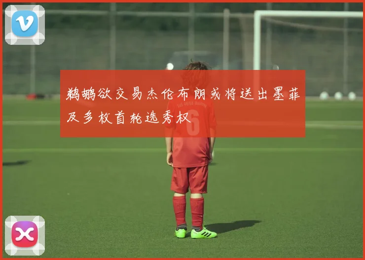 鹈鹕欲交易杰伦布朗或将送出墨菲及多枚首轮选秀权