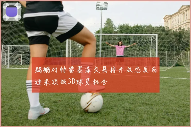 鹈鹕对特雷墨菲交易持开放态度或迎来顶级3D球员机会
