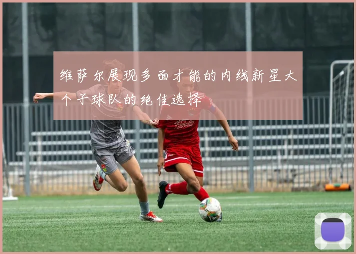 维萨尔展现多面才能的内线新星大个子球队的绝佳选择