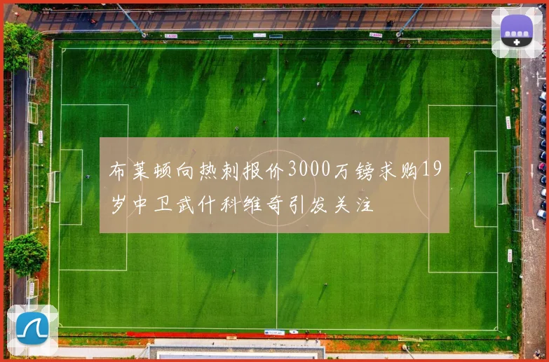 布莱顿向热刺报价3000万镑求购19岁中卫武什科维奇引发关注